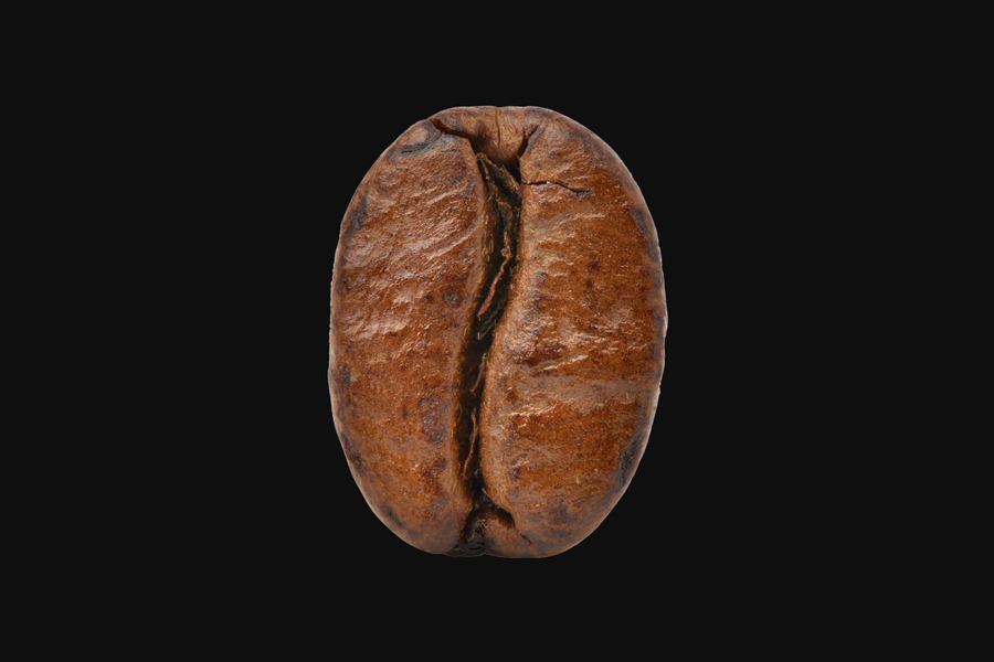 Profilillustration von Arabica-Kaffeebohnen