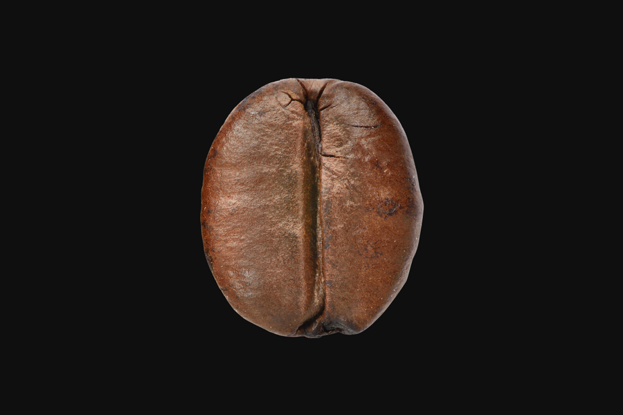 Profilillustration von Robusta-Kaffeebohnen
